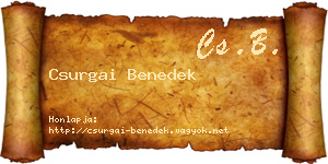 Csurgai Benedek névjegykártya