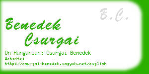 benedek csurgai business card
